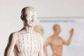 mannequin with acupressure points and meridians