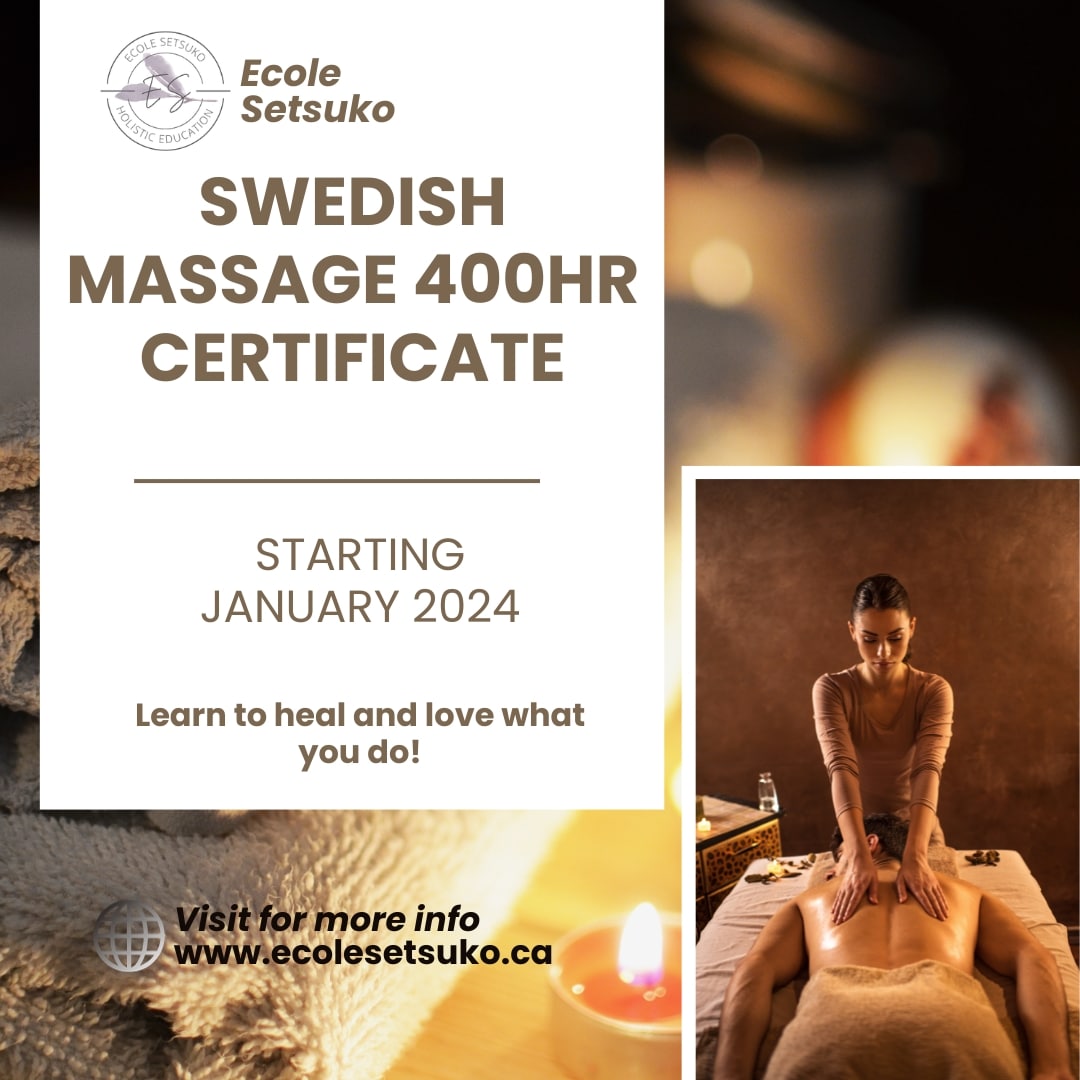 Swedish Massage Program